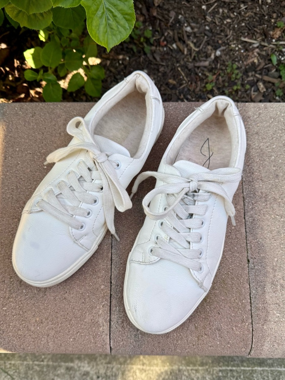 Joie Harvard Women’s Sneakers, White, 6.5